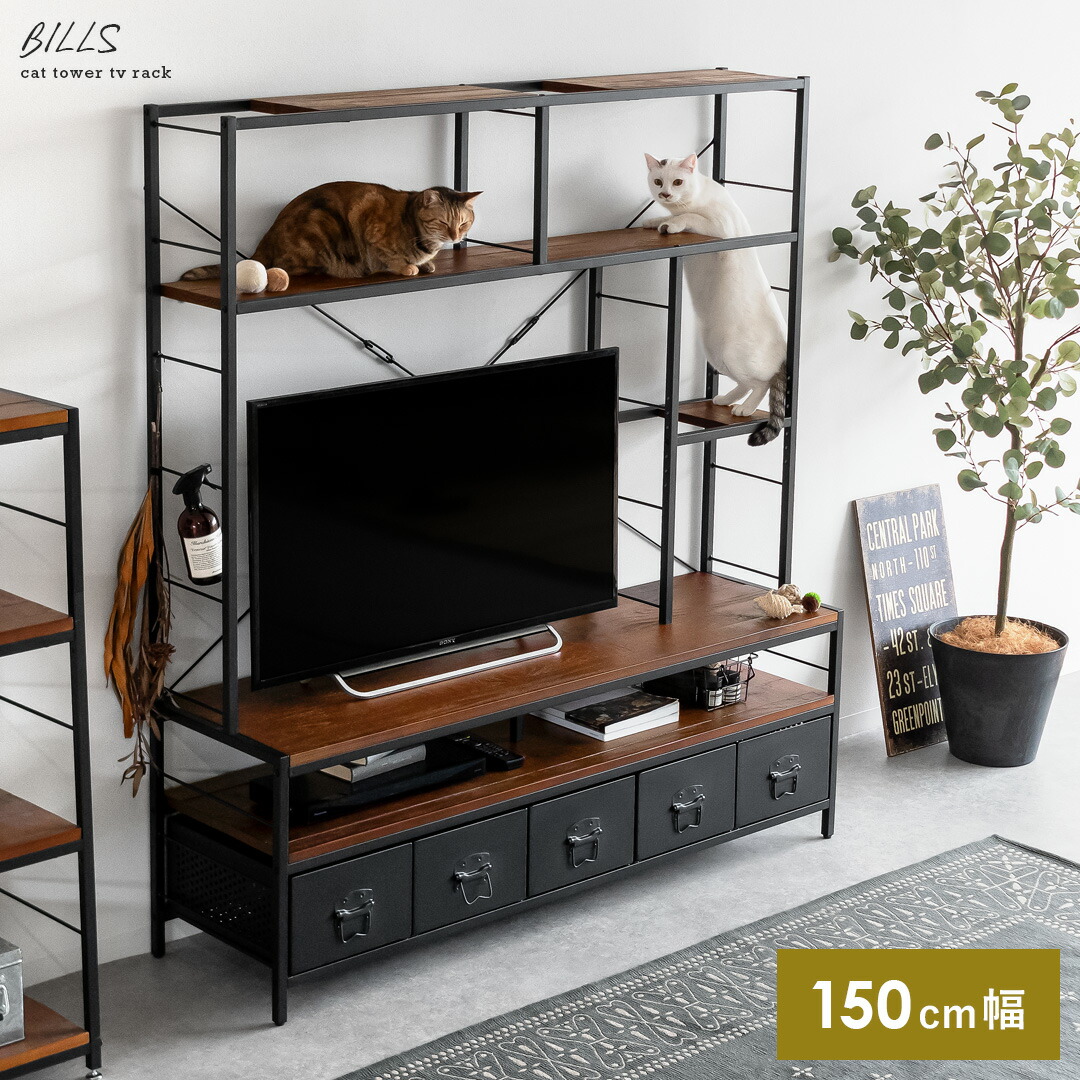 楽天市場】【3/8限定！5％OFFクーポン配布中】 猫 キャット 猫用品 猫