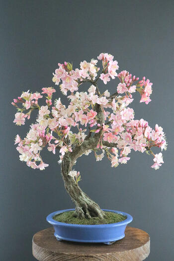楽天市場】盆栽 桜 #110（造花） : あーかんび（AKANBI）
