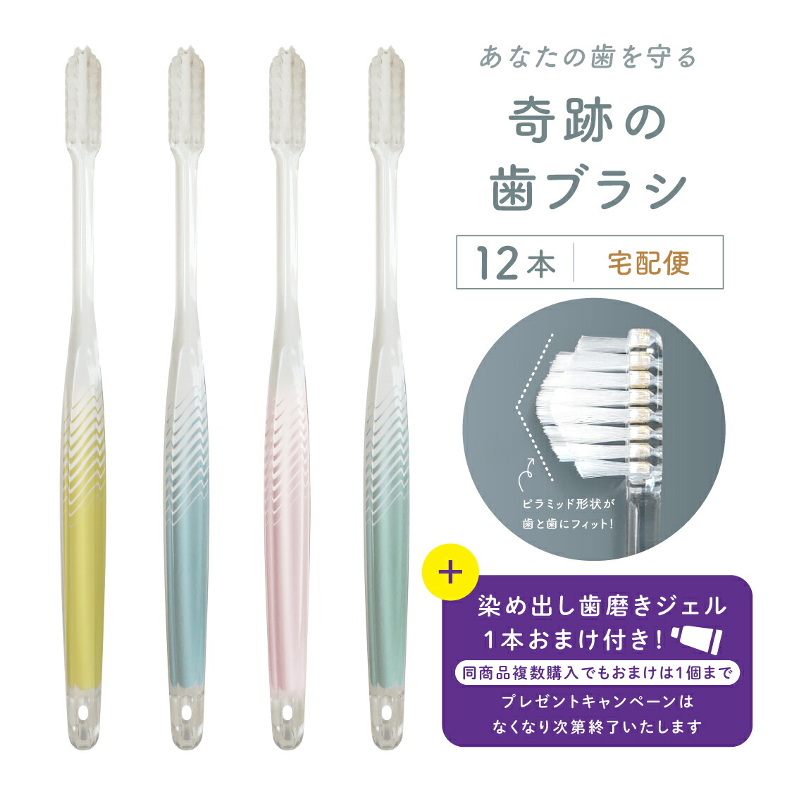 楽天市場】公式【送料無料】奇跡の歯ブラシ〈パステル〉 12本セット