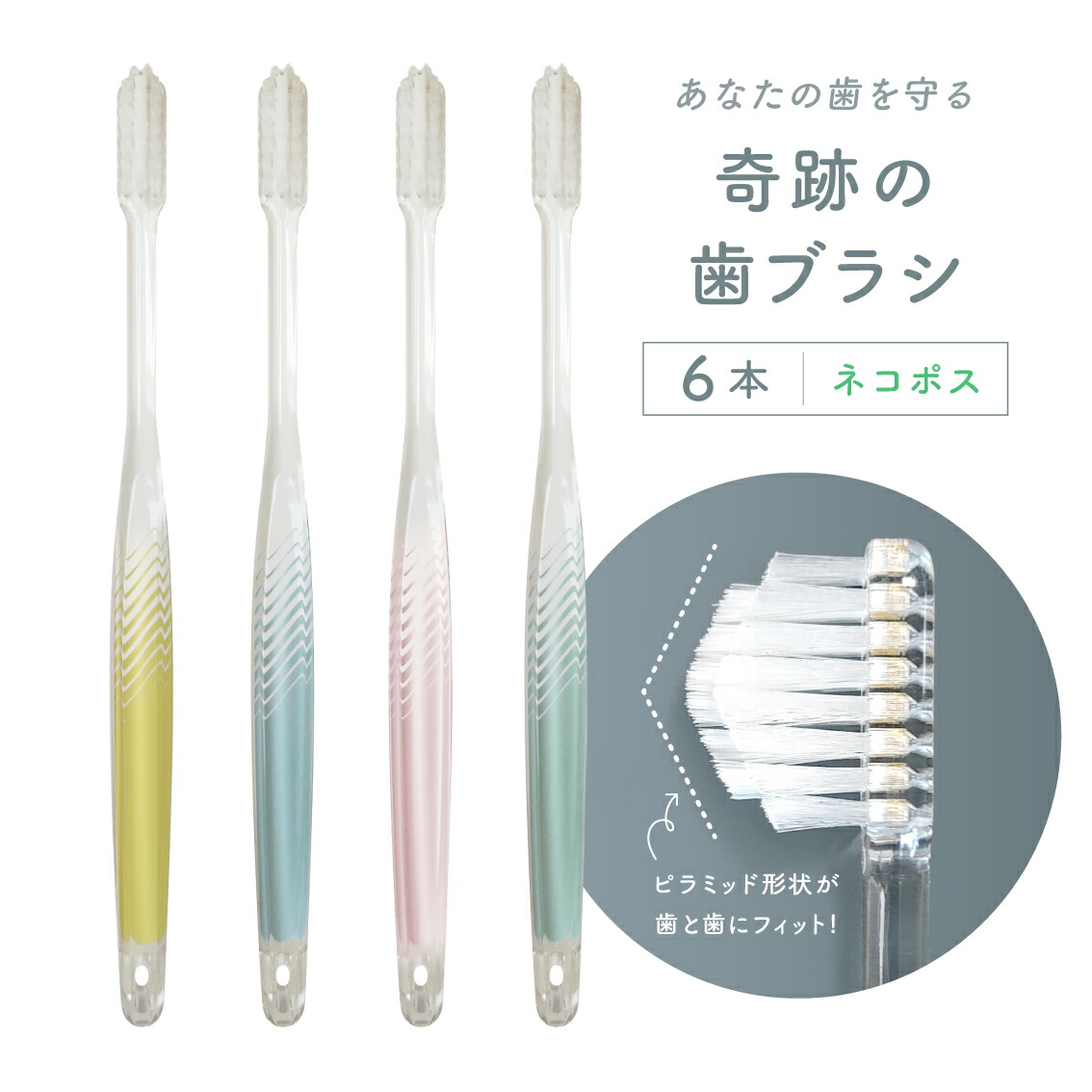 楽天市場】公式【送料無料】奇跡の歯ブラシ〈パステル〉 6本セット