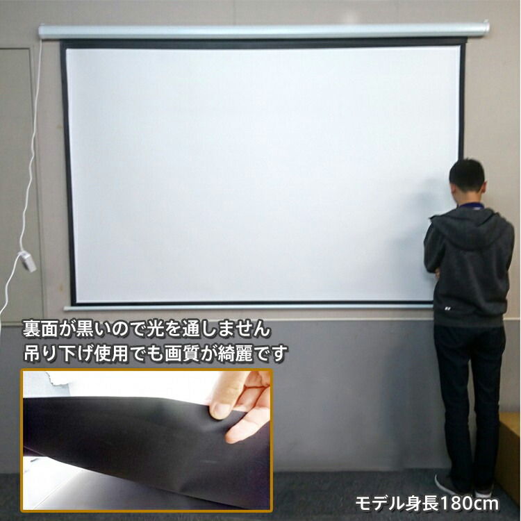 楽天市場】*スパセ限定10%offCP*【送料無料】スクリーン