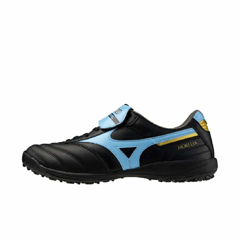 楽天市場】モレリア ブルーの通販