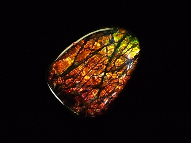 楽天市場】アンモライトフリーフォームルース : アンモライト研究所