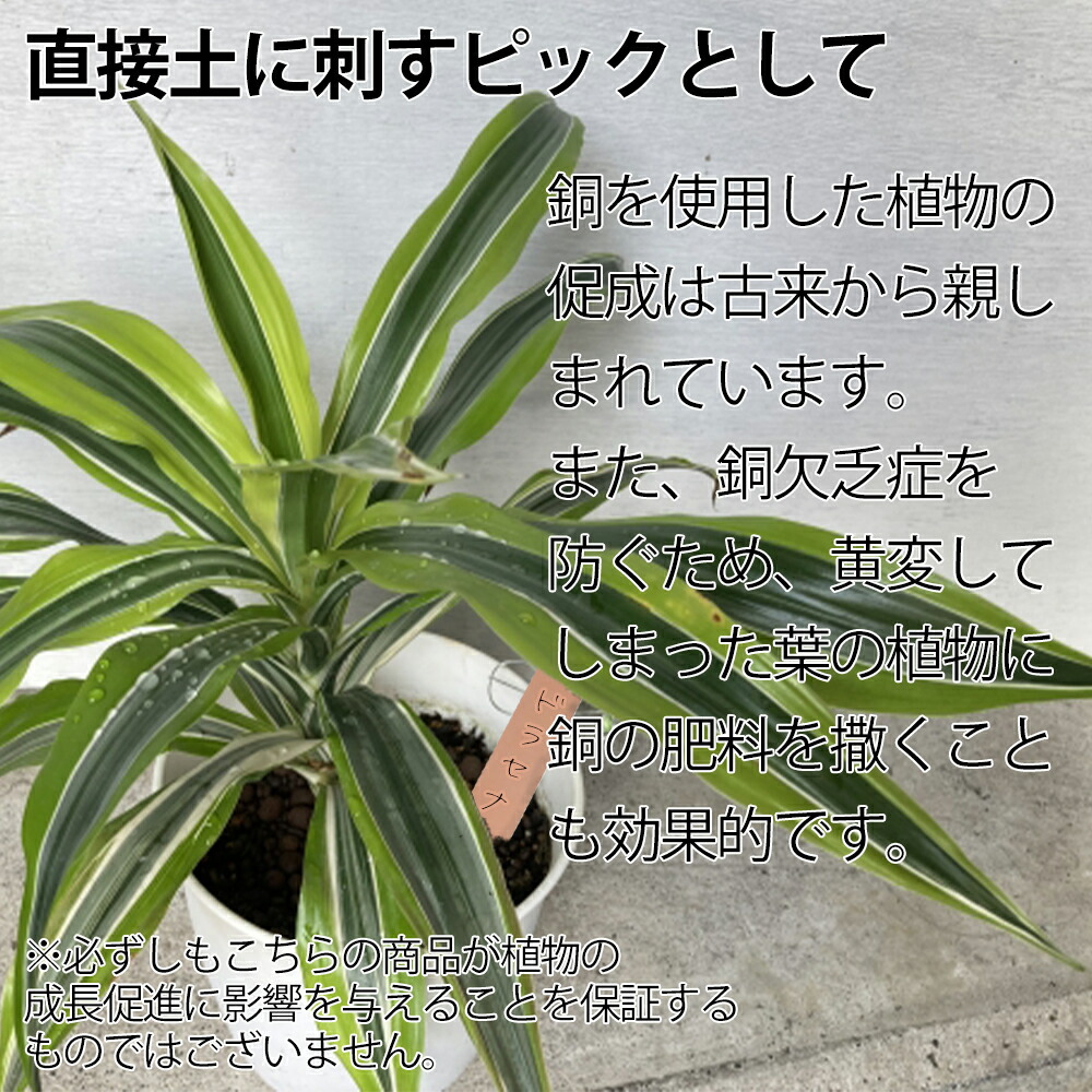 楽天市場】純銅 ガーデンピック 5枚セット 銅 植物 純銅 植物 銅製