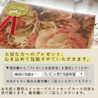 楽天市場】【2025年9月リニューアル版】plamine CLIONE FIT〜プラミネ