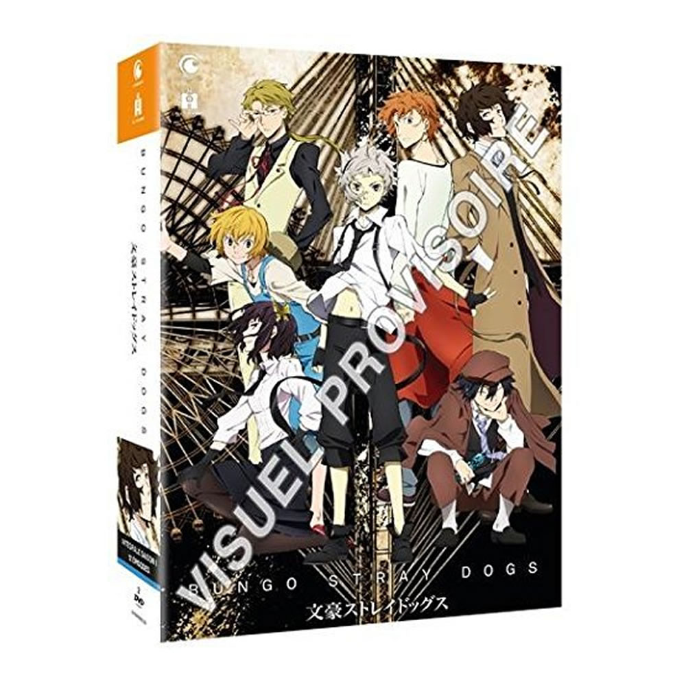 文豪ストレイドッグス DVD 全16巻セット 1期＋2期＋3期 文スト DVD】TV