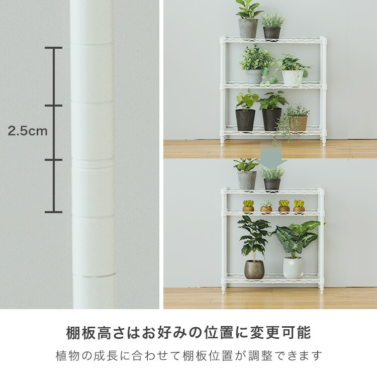 楽天市場】【先着3名様☆30％OFFクーポン配布中】サイズが選べる 屋内