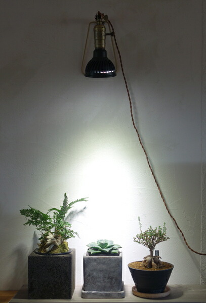 楽天市場】植物育成ライト Plants NEXLIGHT : APOA