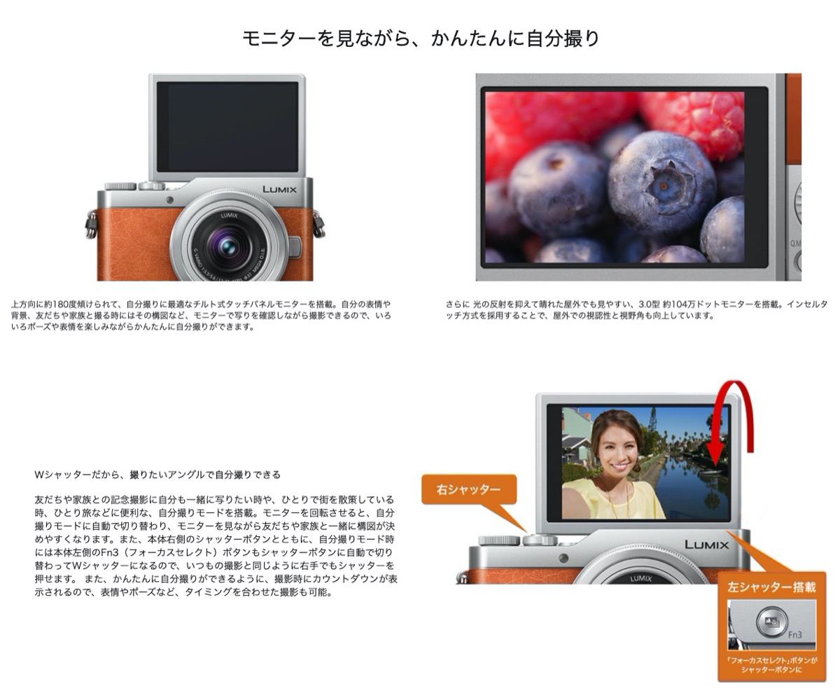 楽天市場】Panasonic DC-GF9W-D GF9 ダブルズームレンズキット LUMIX