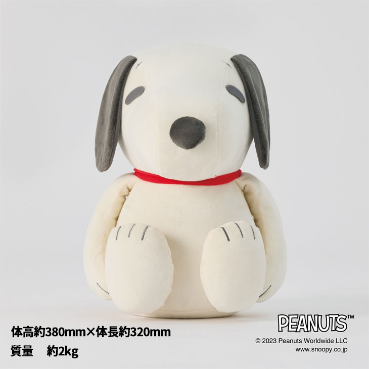 楽天市場】送料無料 ミズノ メディシンボール スヌーピー mizuno