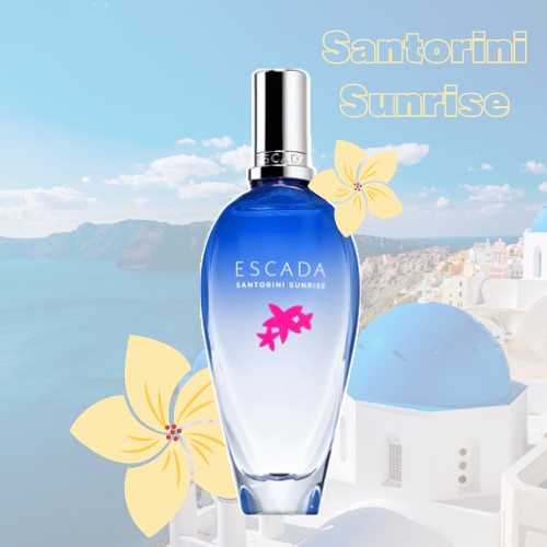 楽天市場】【先着限定☆最大1200円OFFクーポン（3/4 20:00