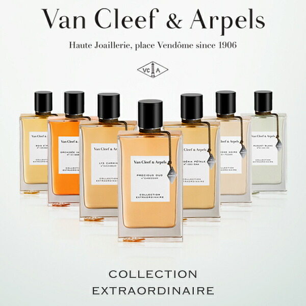 楽天市場】【先着限定☆最大1200円OFFクーポン配布&抽選100％ポイント