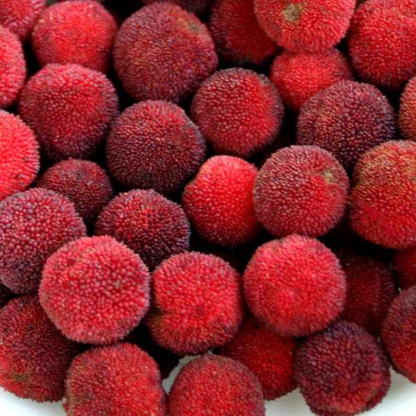 楽天市場】【冷凍国産フルーツ】ヤマモモ（和歌山県有田川町坂井さんが