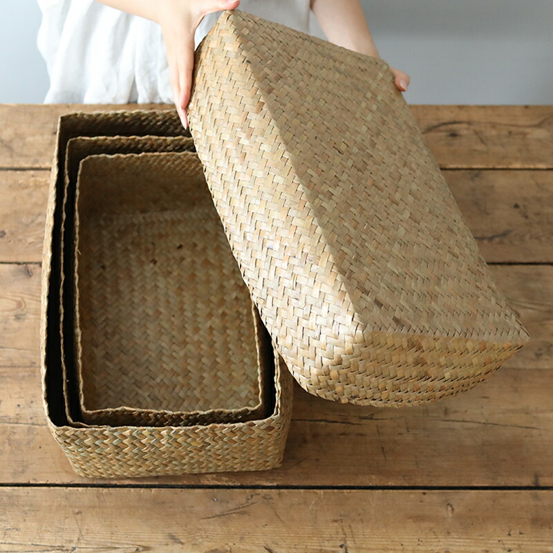 楽天市場】【3/6 20:00〜3/9 7:59 ポイント10倍】カチュー水草ふた付き