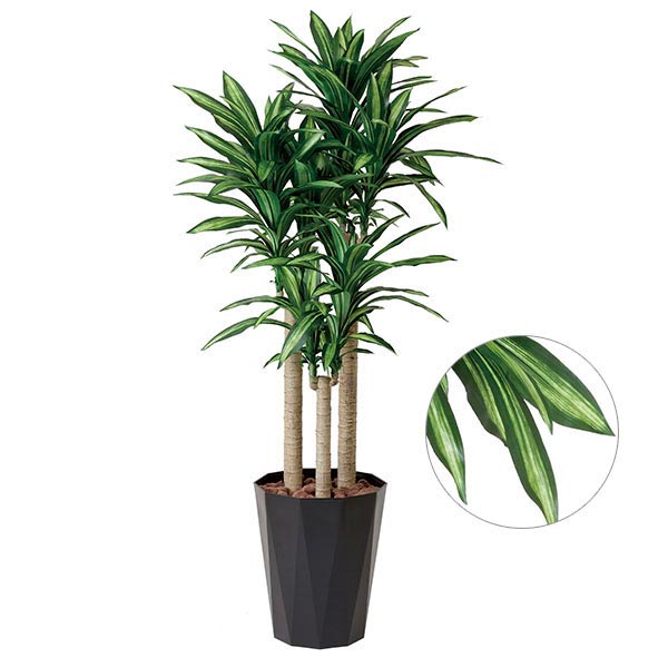 楽天市場】光触媒 幸福の木 造花 消臭 枯れない 人工観葉植物 ドラセナ