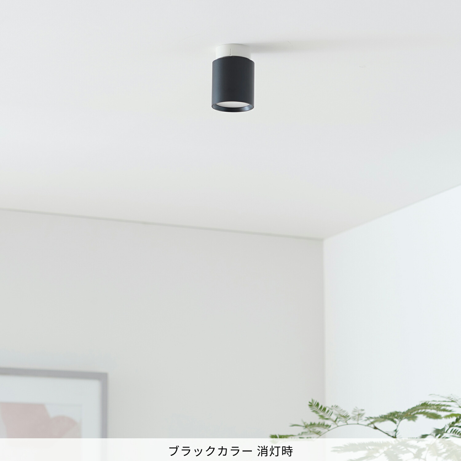 楽天市場】【アートワークスタジオ公式】ダウンライト【Grid-ceiling