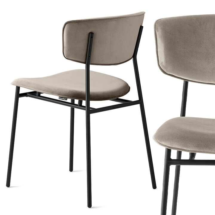 楽天市場】【正規品1年保証 ポイント10倍 特典付き】 calligaris