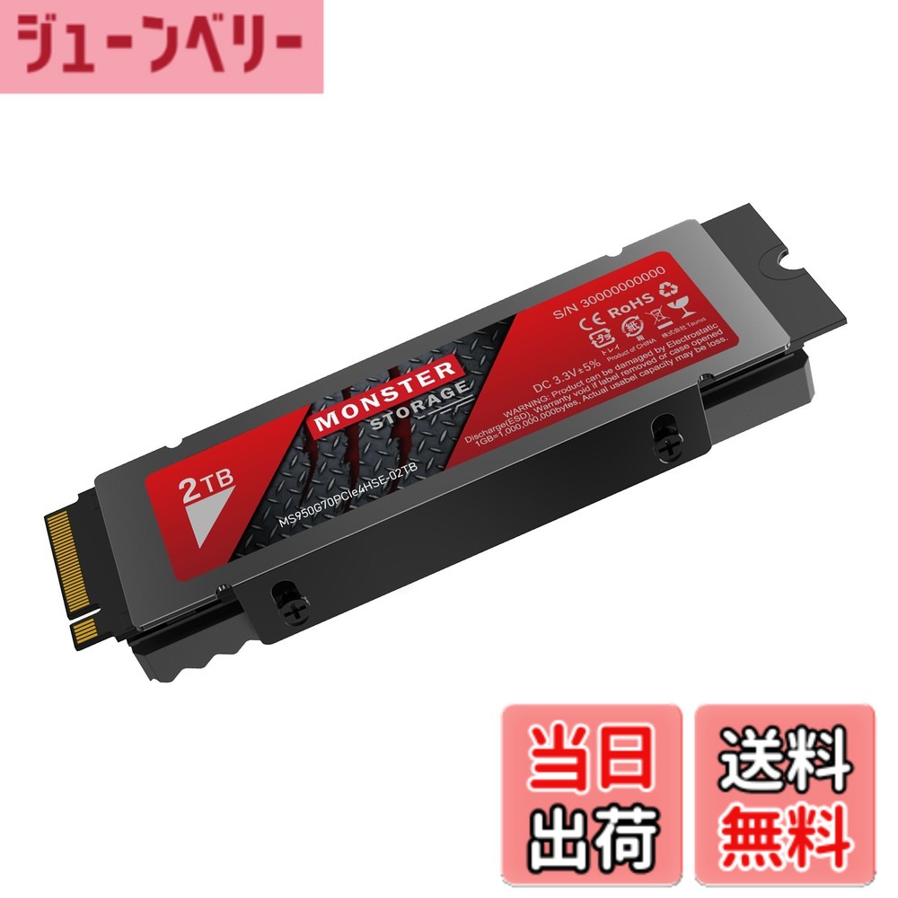 Monster Storage SSD 2TB NVMe PCIe」の人気商品一覧 | 安い商品を通販