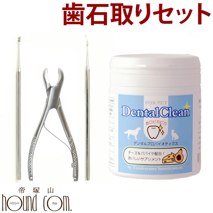 楽天市場】【P2＆クーポン配布中】歯石取り3点＆デンタルサプリセット