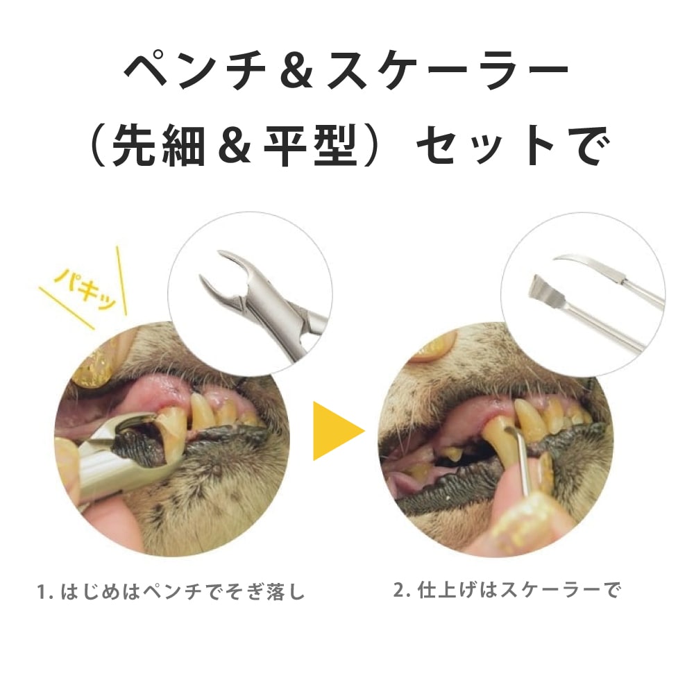 楽天市場】【P2＆クーポン配布中】愛犬・愛猫歯石取りペンチとスケラー