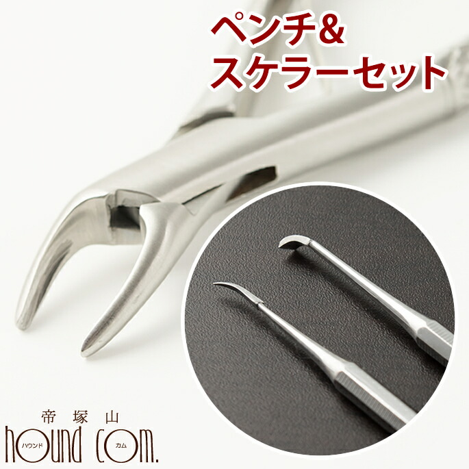 楽天市場】【P2＆クーポン配布中】愛犬・愛猫歯石取りペンチとスケラー