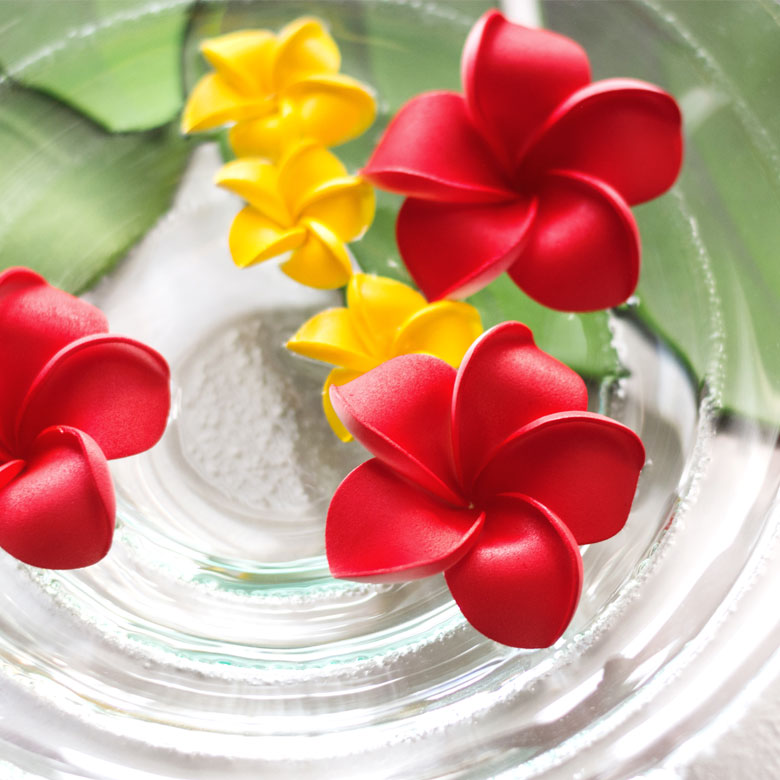 楽天市場】プルメリア アジアン 造花 スタンダードタイプ Mサイズ