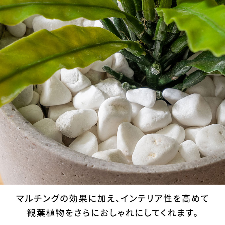 楽天市場】マルチングストーン 天然石 300g 化粧石 飾り石 ホワイト