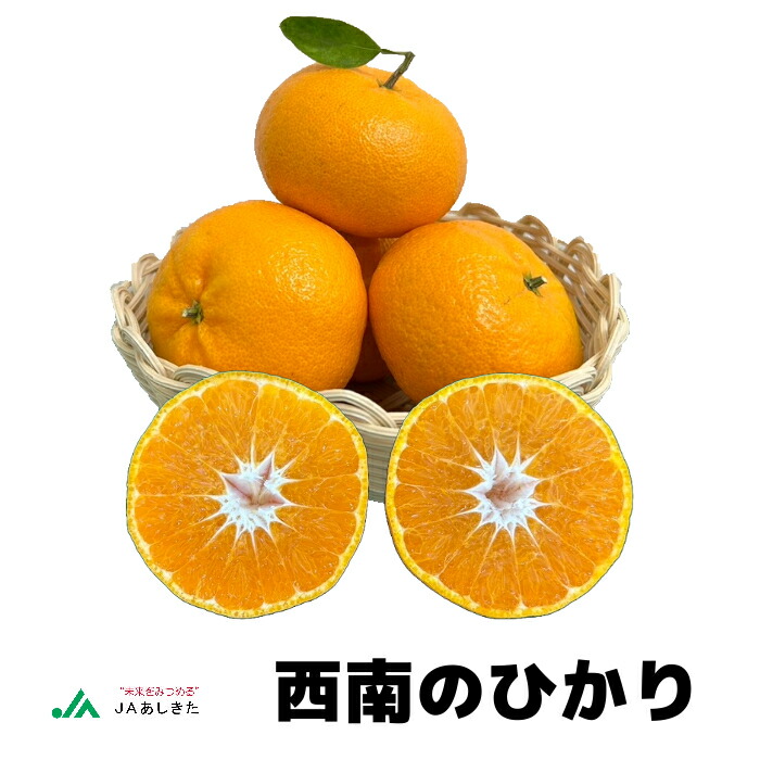 楽天市場】【JAあしきた】西南のひかり（みかん） 5kg （約20玉