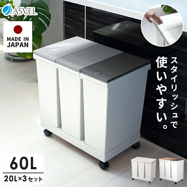 楽天市場】ランキング受賞 ゴミ箱 分別 【限定カラー】 スリム