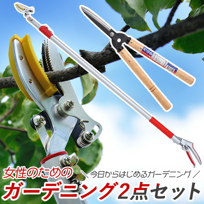 楽天市場】レディース園芸2点セット(3段階伸縮式高枝切鋏＆ショート