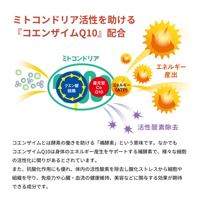 楽天市場】インターナルリセット フォーミュラ05／インパクトボディ