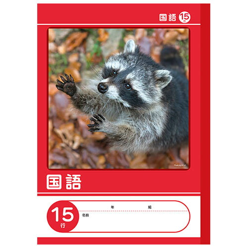 楽天市場】【7冊までメール便OK】NK学習帳 国語 [15行] 小学4～6年生