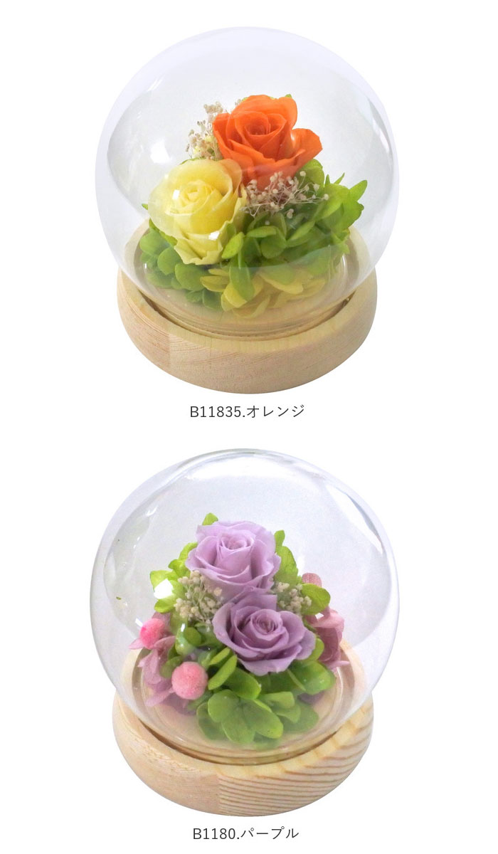 楽天市場】プリザーブドフラワー ガラスドーム 通販 フラワー