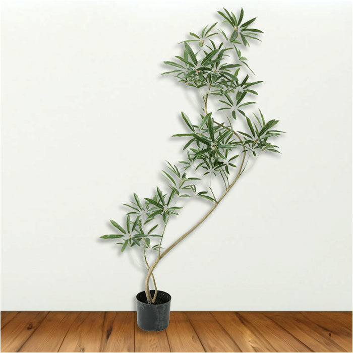 楽天市場】シェフレラ 曲がり 通販 フェイクグリーン インテリア