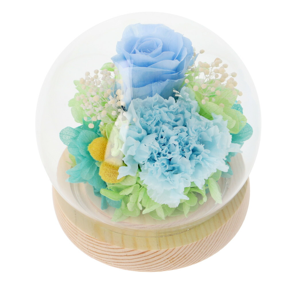 楽天市場】プリザーブドフラワー ガラスドーム 通販 フラワー