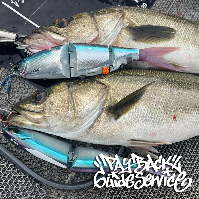 楽天市場】DRT クラッシュ ゴースト バックラッシュ別注カラー「N・F