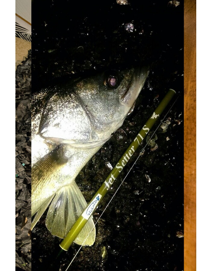 楽天市場】JetSlow × TULALA / ジェットスロウ × ツララ JetSetter 71S