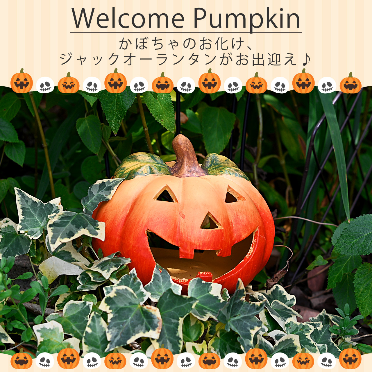 楽天市場】ハロウィン パンプキン リーフM ジャックオーランタン