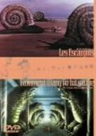 楽天市場】ルネ・ラルー（CD・DVD）の通販