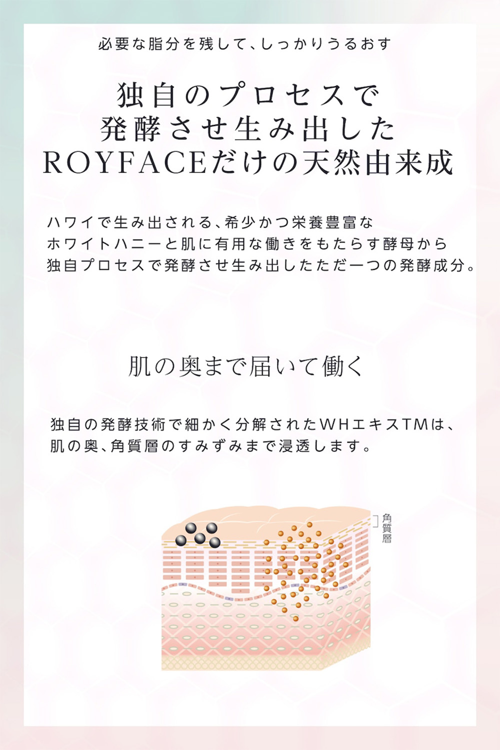 楽天市場】【正規販売店】ロイフェイス WHメイクフロートジェル ROY