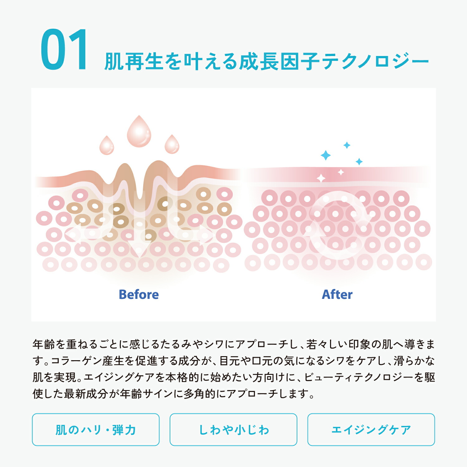 楽天市場】MIAVIE スキンリペアクリーム 80g | 肌再生クリーム