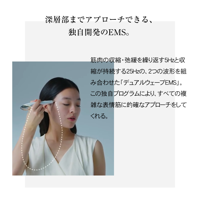 楽天市場】【楽天1位/正規品販売店/送料無料/選べるカラー】ステラ