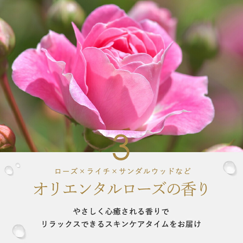 楽天市場】【正規販売店】マリアギャランクリーム1000 MARIA GALLAND