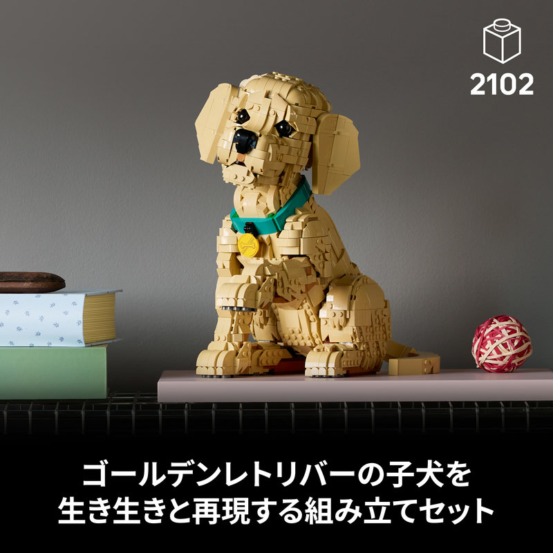 楽天市場 | ベネリック レゴストア楽天市場店 - ゴールデンレトリバー