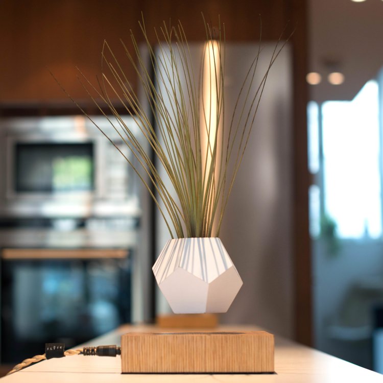 楽天市場】FLYTE フライトライフ｜宙に浮かぶ 回るプランター ポット