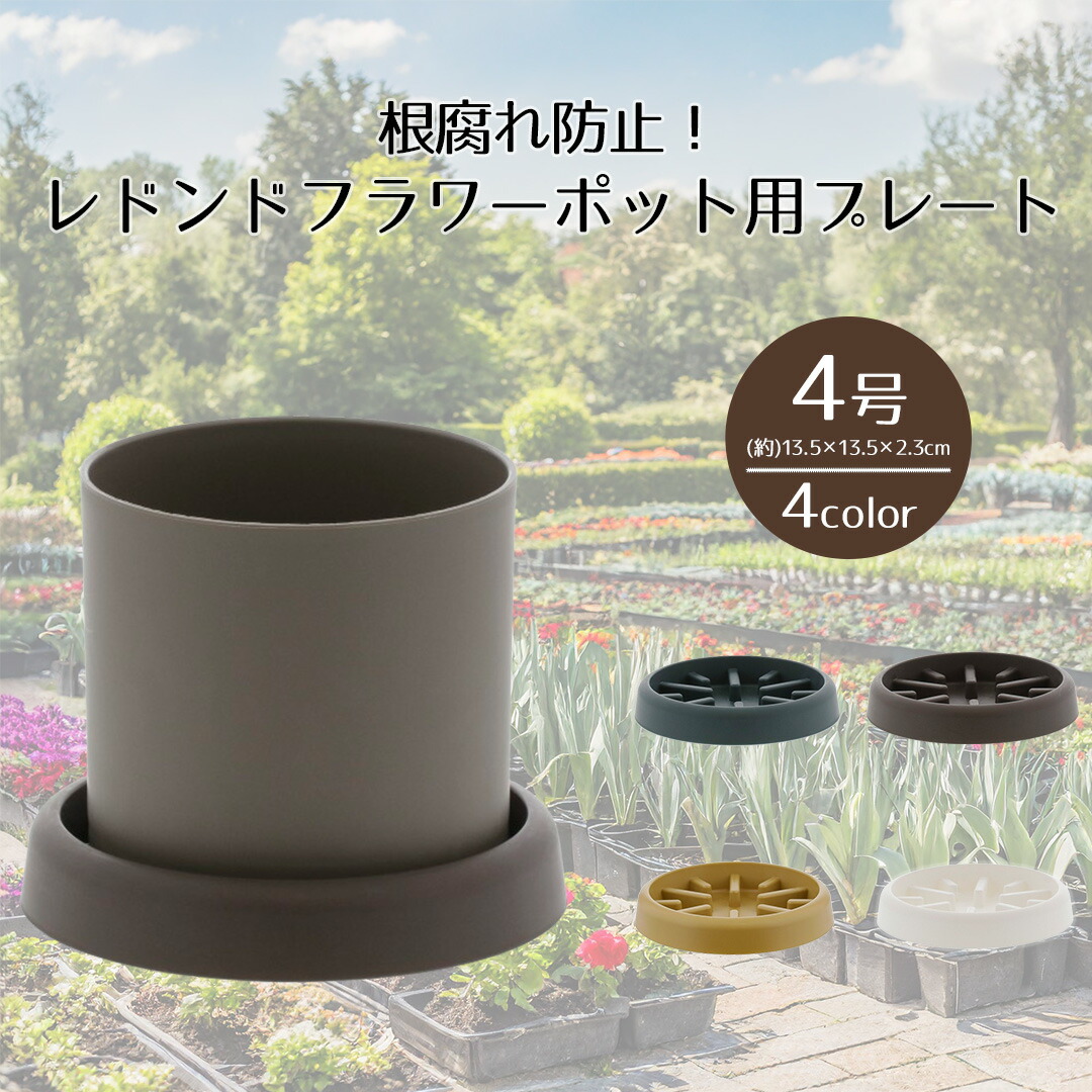 楽天市場】【 ポイント5倍 3/4(水)20:00〜3/11(水)1:59まで