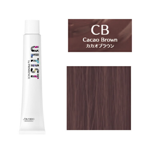 楽天市場】資生堂 アルティスト 80g [ カカオ ブラウン 7 ] アッシュ