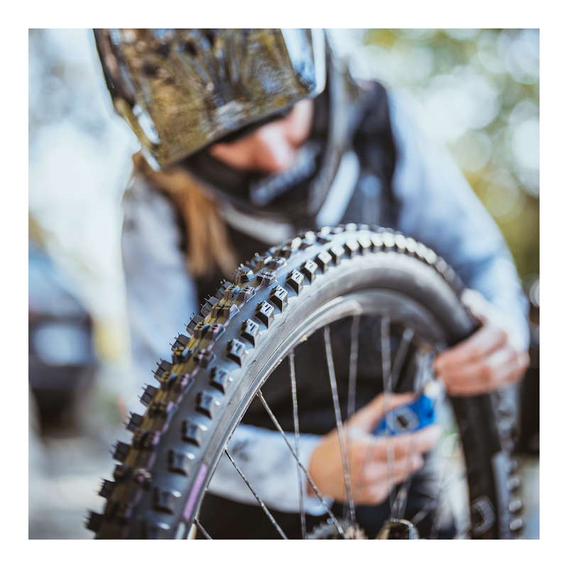 楽天市場】SCHWALBE シュワルベ タッキーチェン 27.5x2.40(62-584