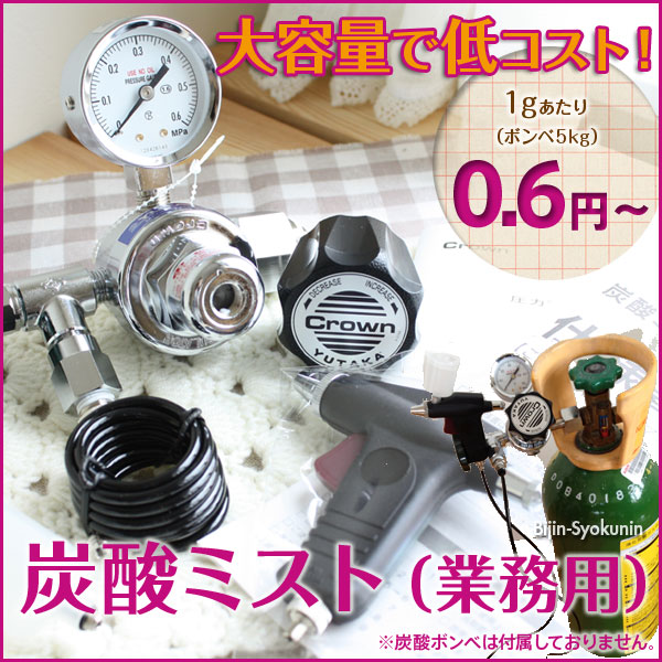 楽天市場】【あす楽】炭酸ミスト 炭酸ミストシャワーをプロユースに