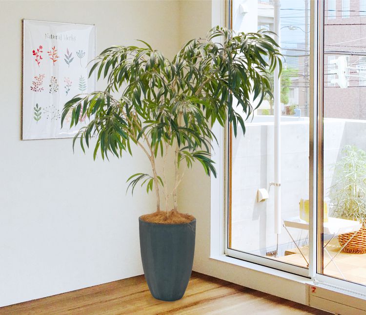 楽天市場】ショウナンゴムの木 180cm (ビンネンディキー フェイク